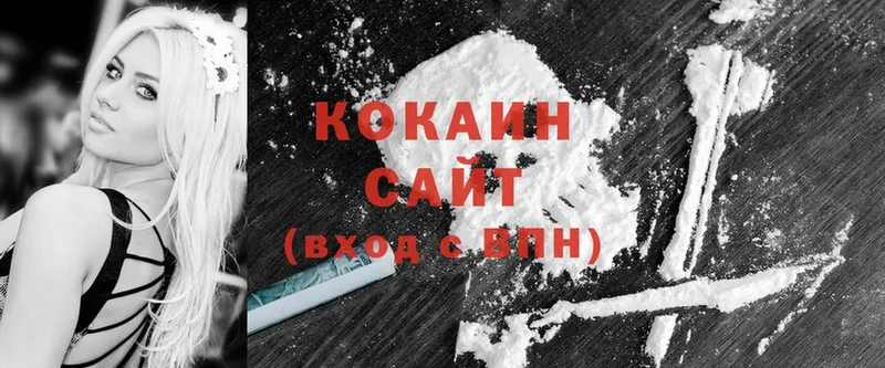 хочу наркоту  Новоалександровск  Cocaine 99% 