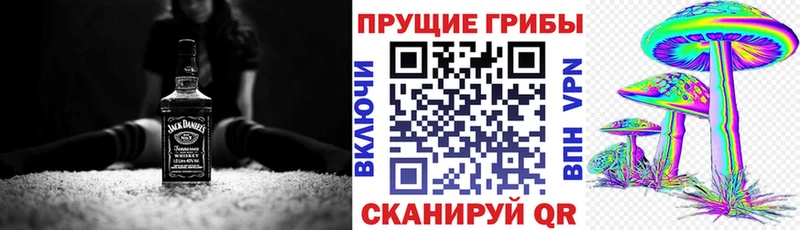 цена   Новоалександровск  Псилоцибиновые грибы GOLDEN TEACHER 
