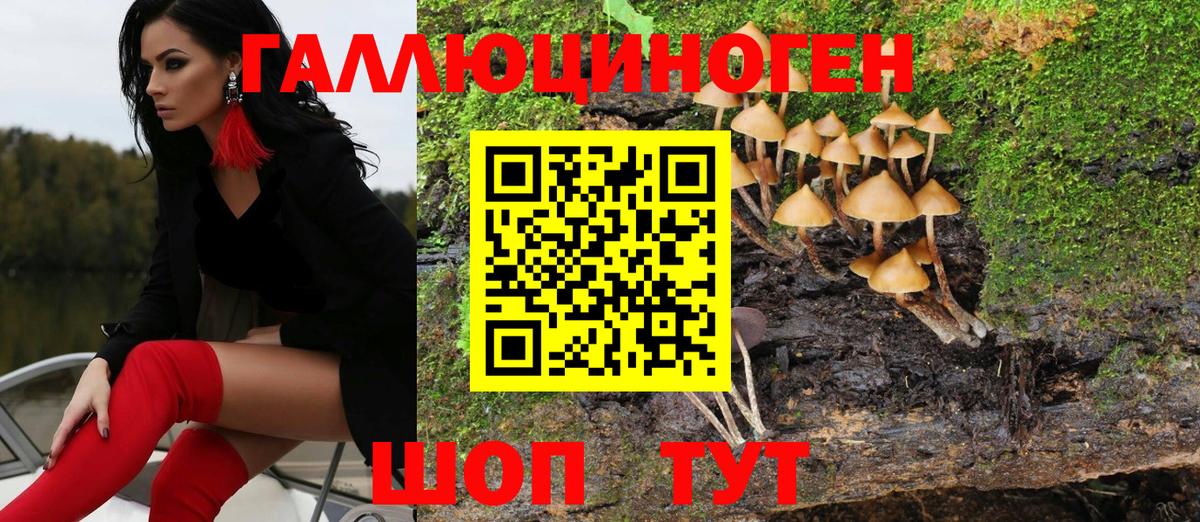 Галлюциногенные грибы Magic Shrooms Новоалександровск