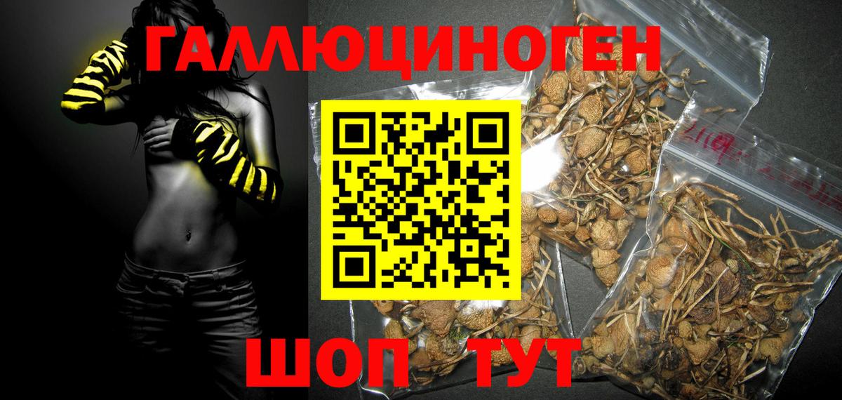 Псилоцибиновые грибы Magic Shrooms  Вход с VPN  Галлюциногенные грибы прущие грибы  Новоалександровск 
