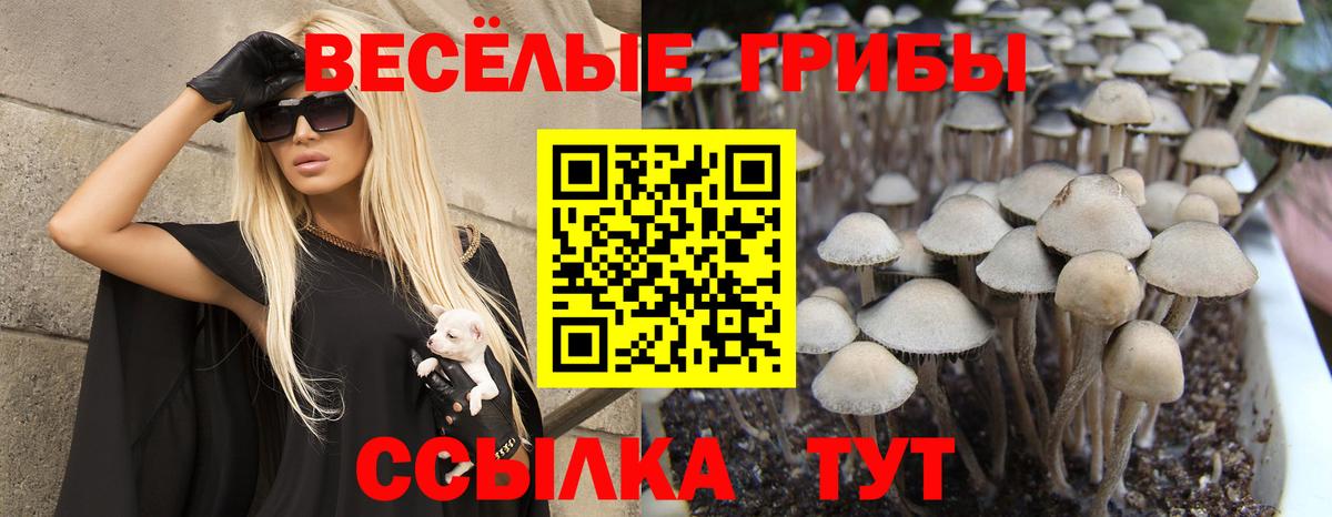 Псилоцибиновые грибы Magic Shrooms  Новоалександровск 
