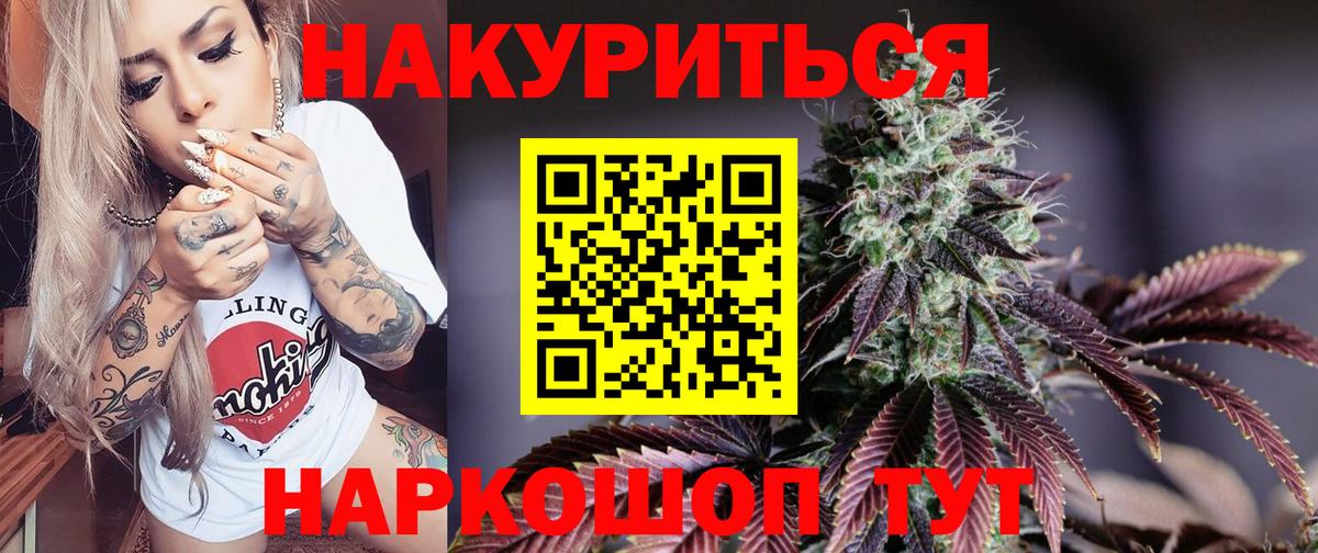 Бошки Шишки планчик  Бошки Шишки OG Kush  Марихуана семена  Новоалександровск  Вход с VPN  МАРИХУАНА AK-47 